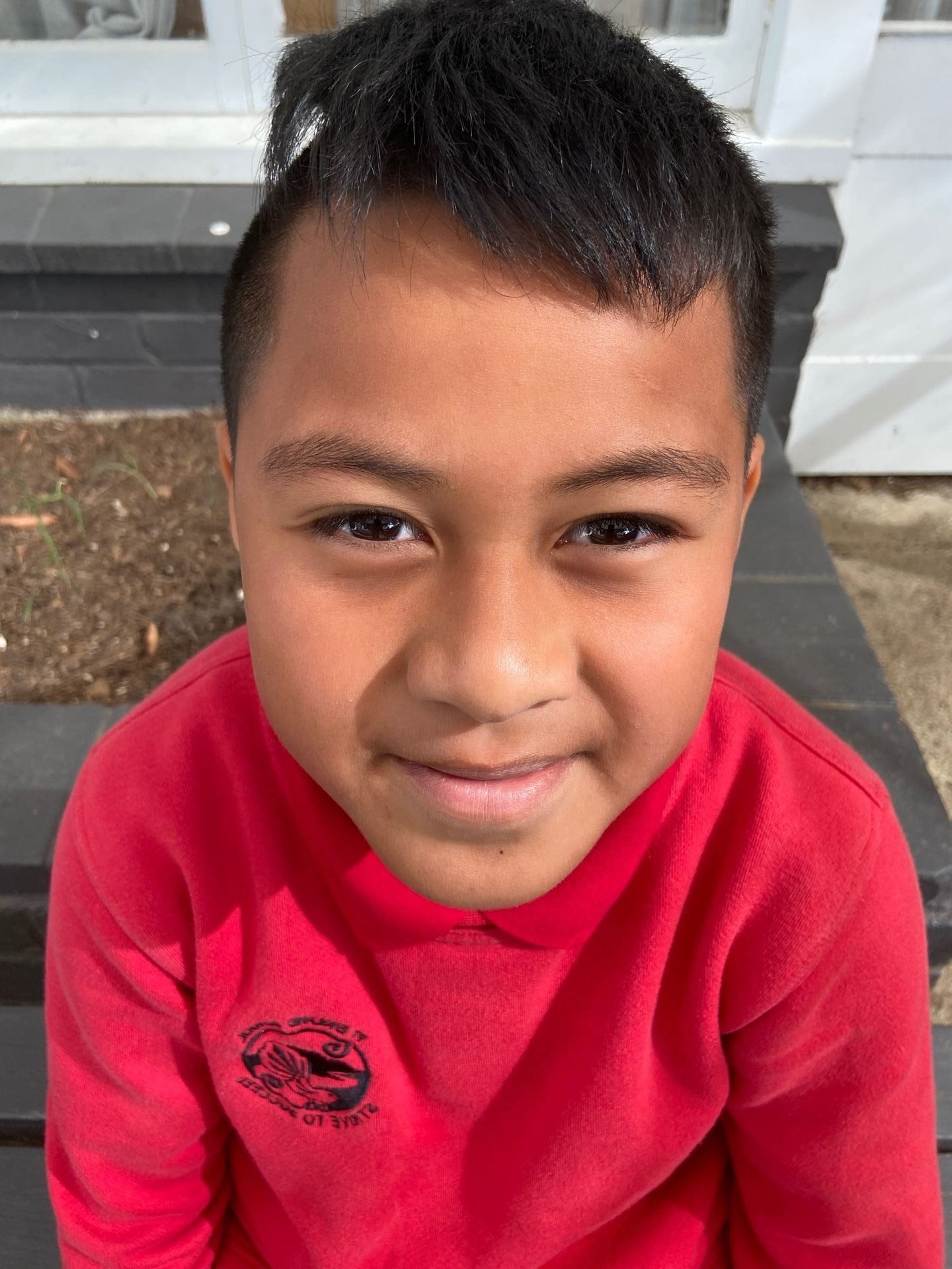 The Taniwha Micheal Pt England School the-taniwha-micheal-pt-england-school